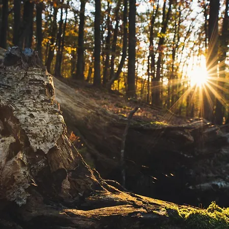 Ξενοδοχείο Garni Im Fachwerkhof 3*