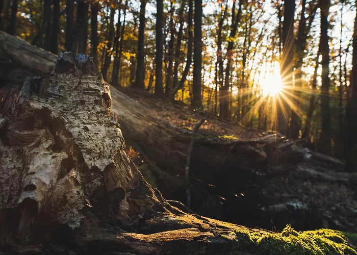 Hotel Garni Im Fachwerkhof 3*